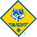Cub Scouts